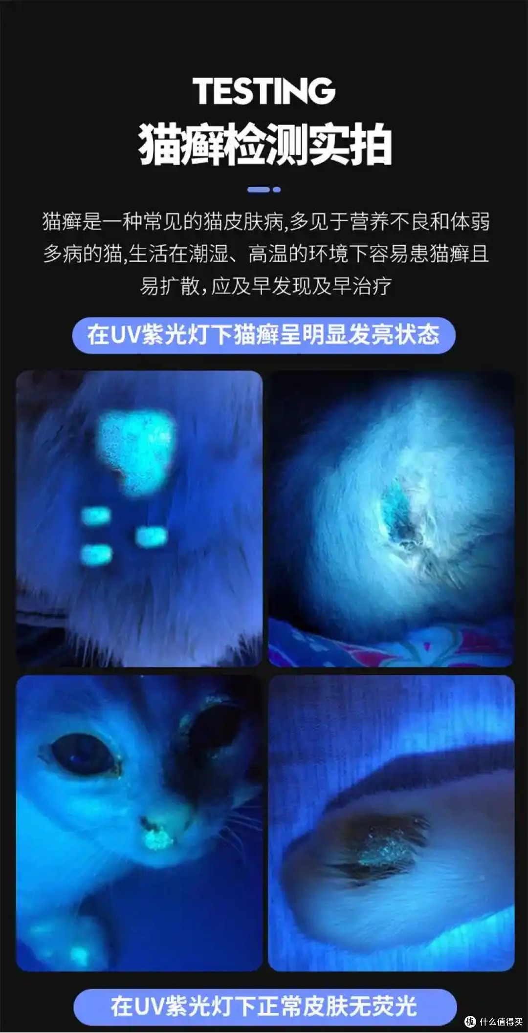 12元入手365纳米紫光鉴定灯，为了查出我家猫猫的尿迹