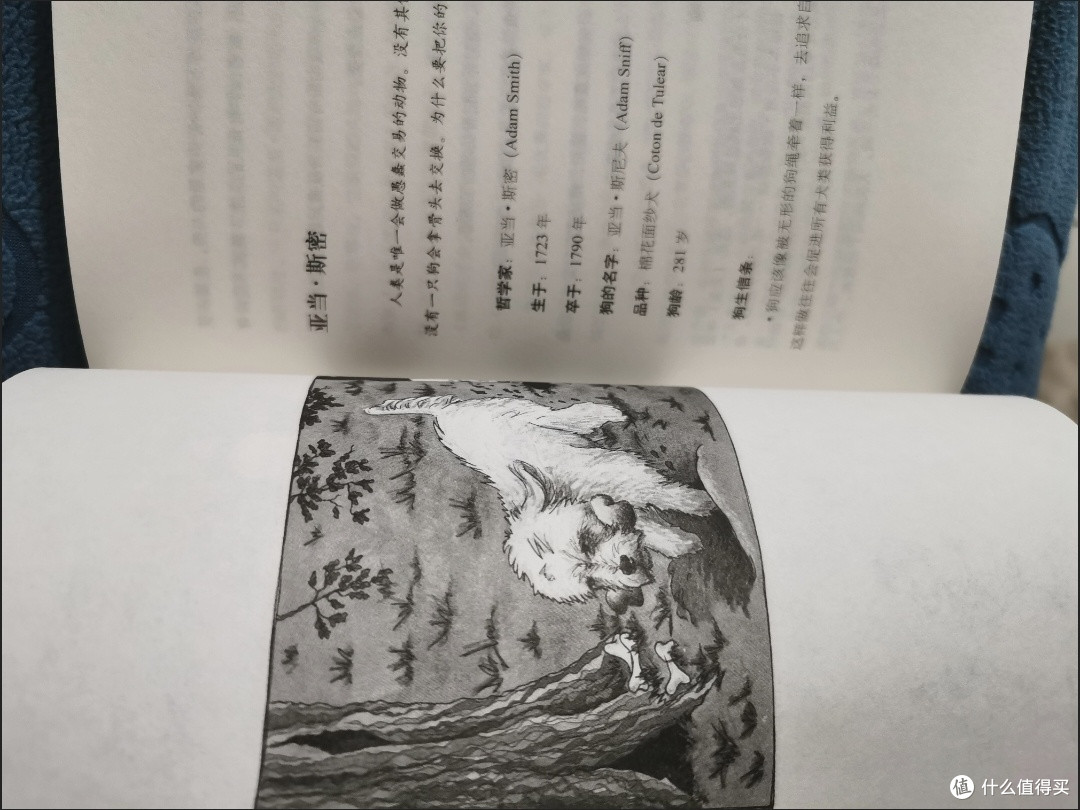 当哲学大咖遇上“灵魂导师”:在《哲学家的狗》里读懂另一种智慧