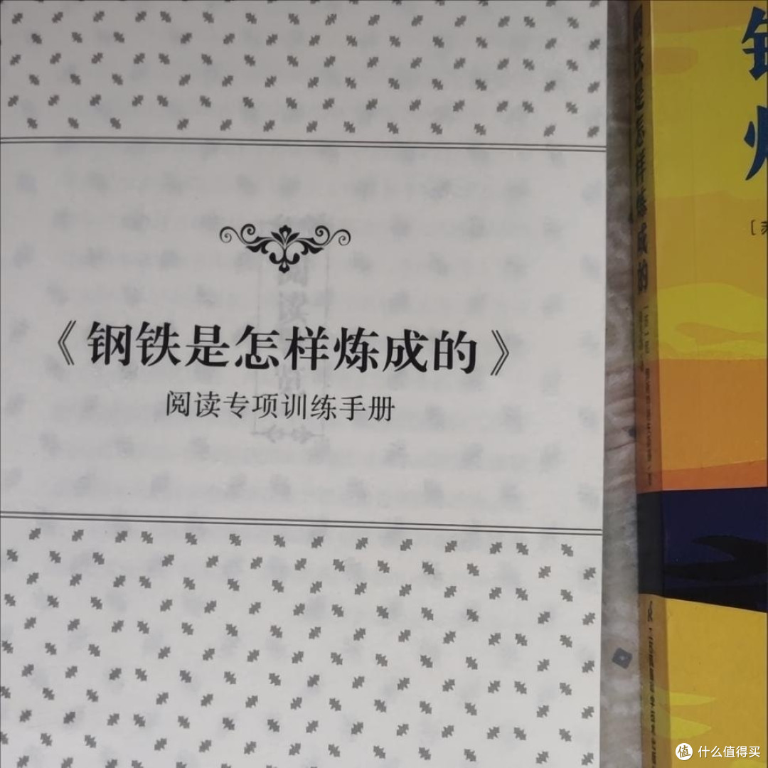 熔炉与重生：在《钢铁是怎样炼成的》中看见生命的淬炼