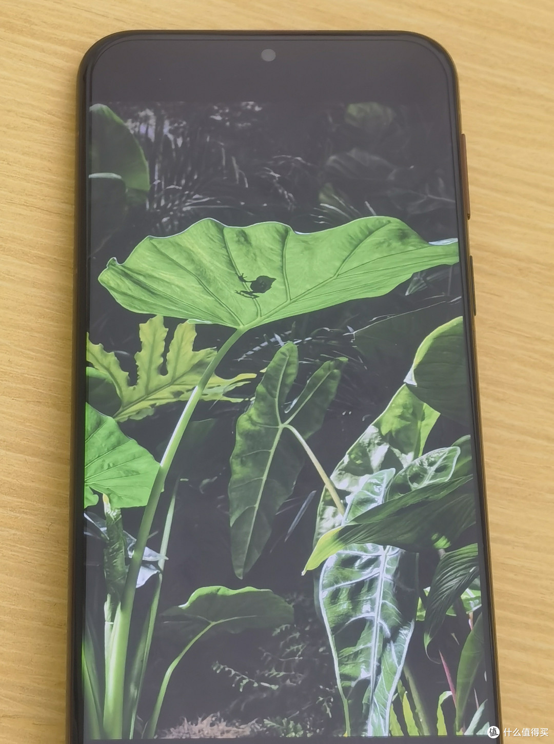 华为影像旗舰手机Pura70Ultra/Mate 70 Pro+/Pura 80 Pro+怎么选