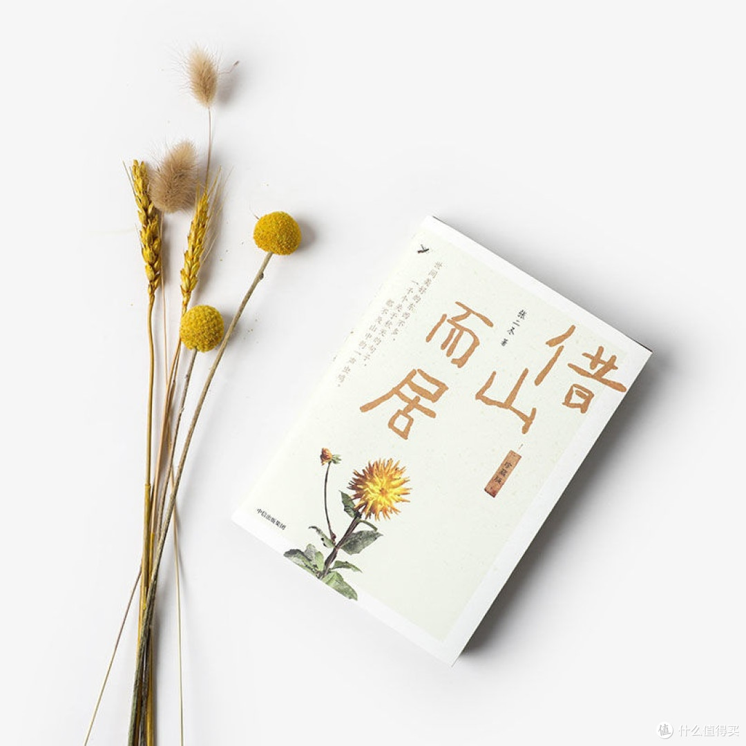 借山而居 珍藏版 张二冬著  文学散杂文随笔书籍