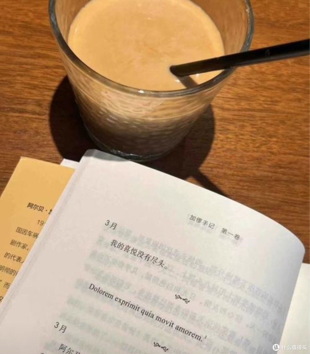 夏日书单:寻找清凉的文字