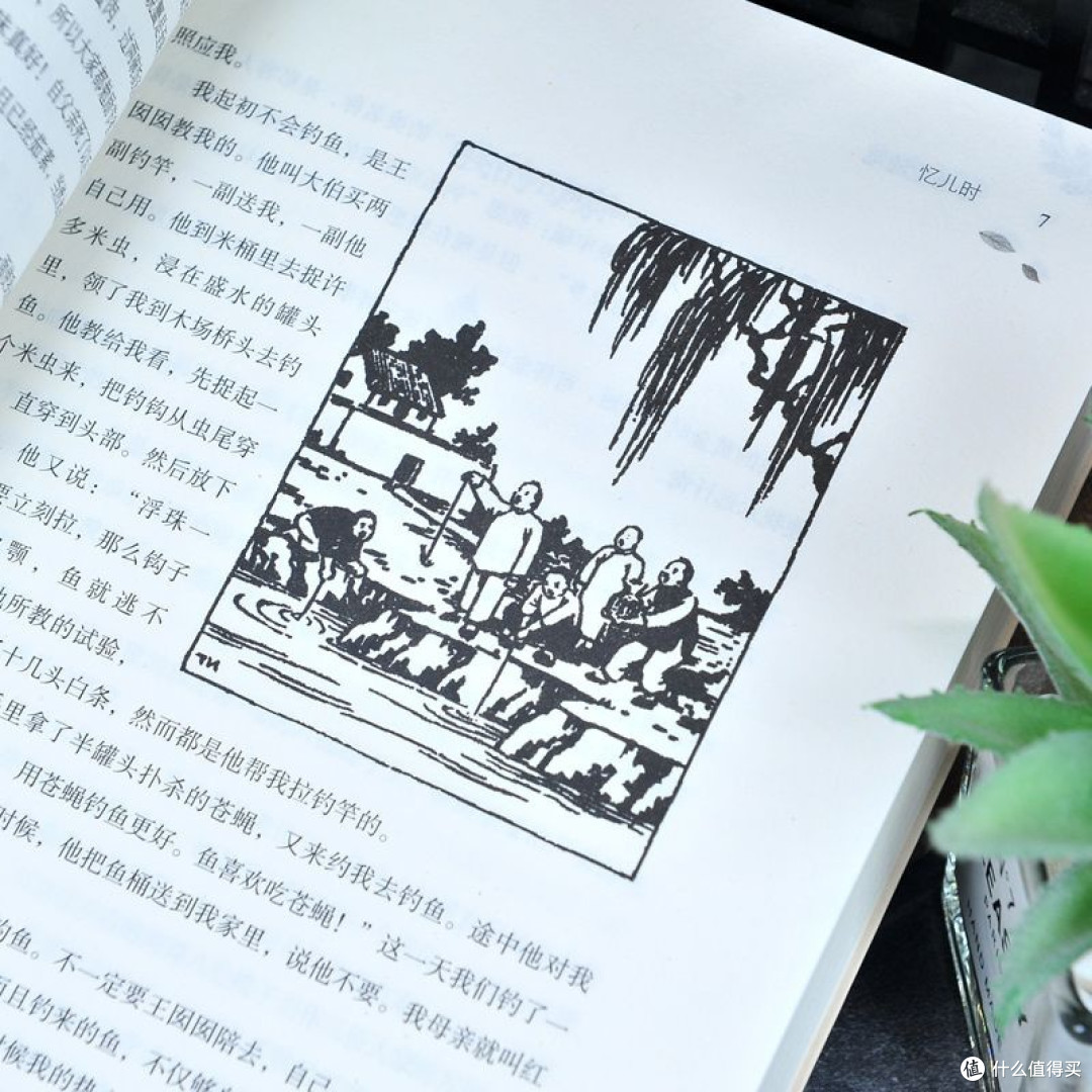 缘缘堂随笔 丰子恺散文集 插图版 中国文学经典名家散文随笔正版