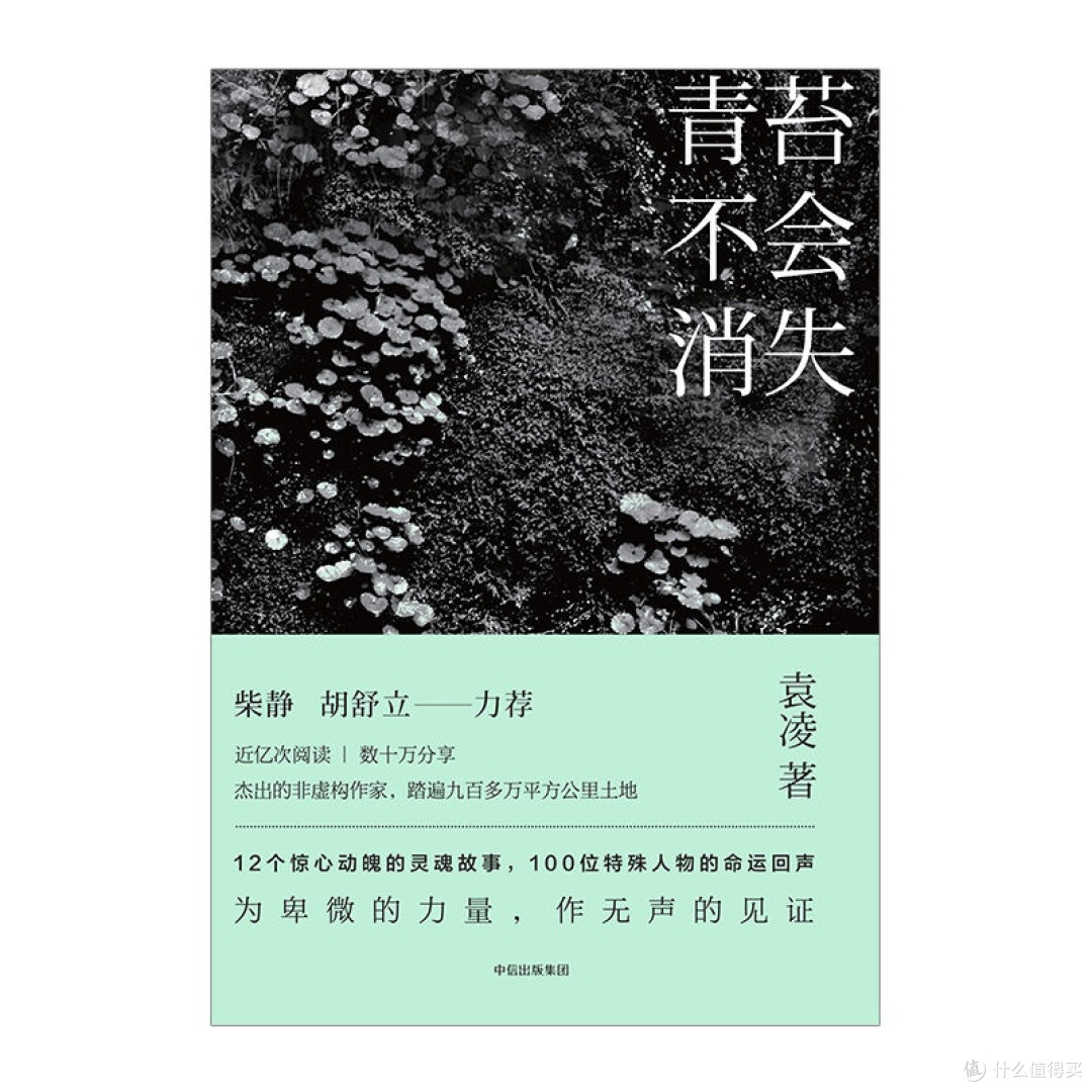青苔不会消失 柴静推荐 现当代文学散文随笔