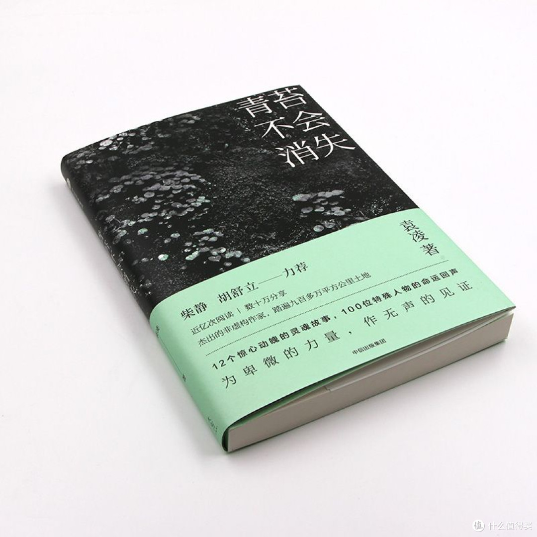 青苔不会消失 柴静推荐 现当代文学散文随笔