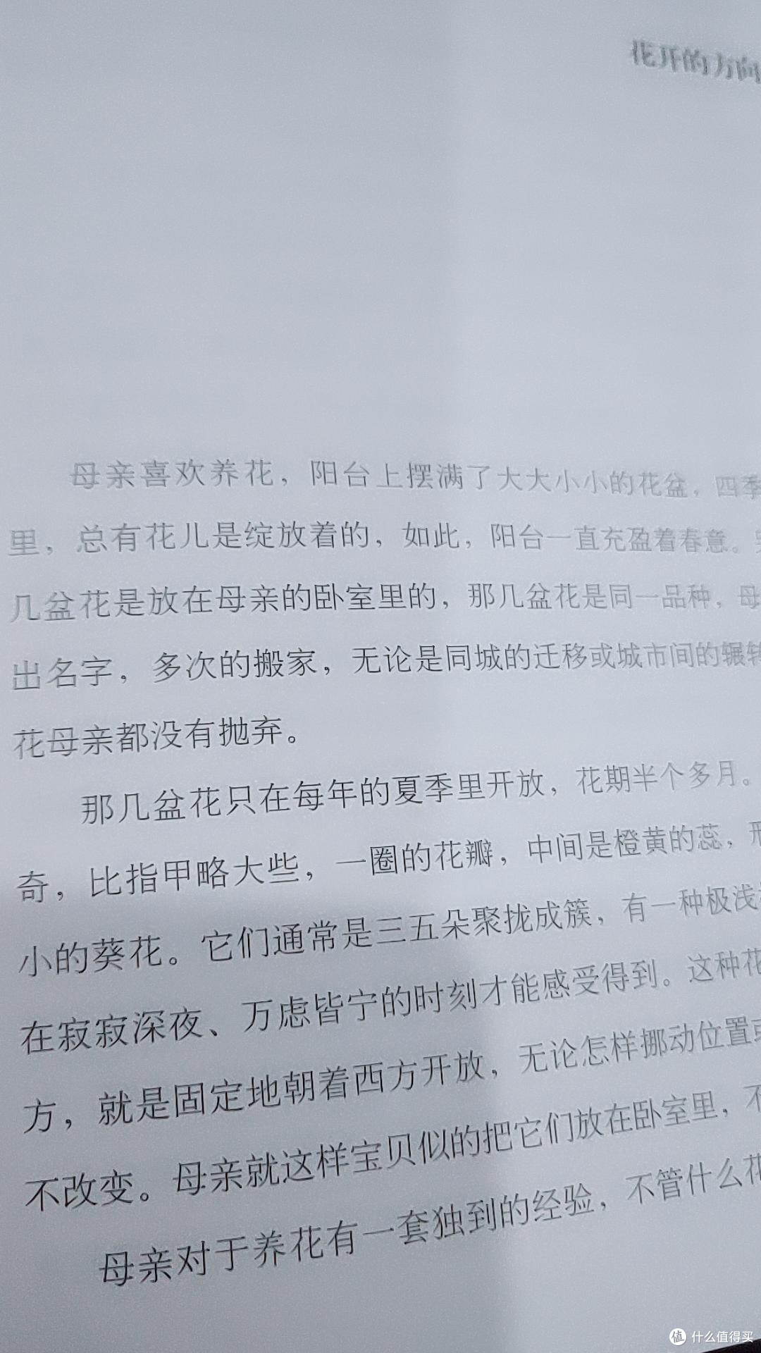 全国中考热点作家美文典藏书系 半亩云 包利民著