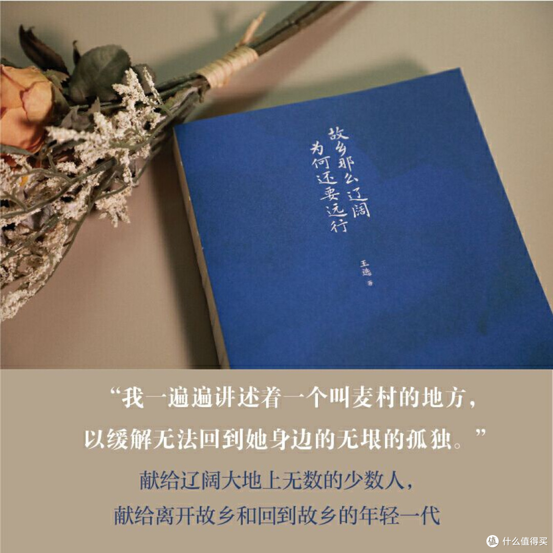故乡那么辽阔 为何还要远行散文王选 著