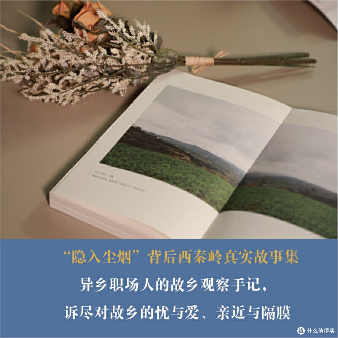 故乡那么辽阔 为何还要远行散文王选 著