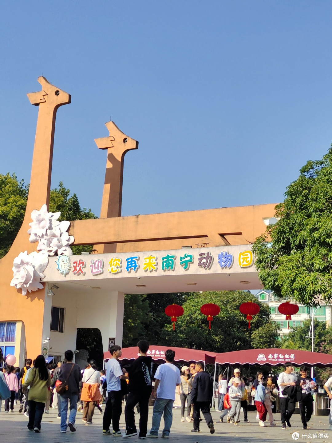 南宁动物园:夏日亲子游的理想乐园