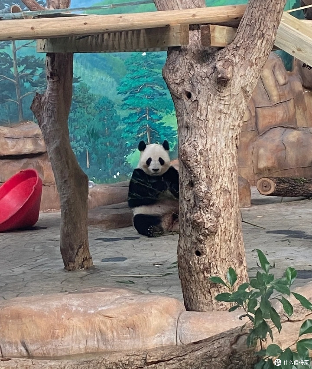 南宁动物园:夏日亲子游的理想乐园