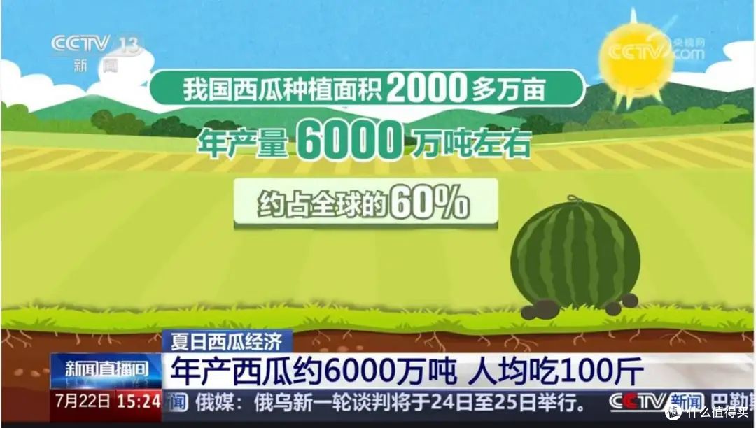 西瓜自由:老外看瓜价瞳孔地震,我们只嫌瓜不甜