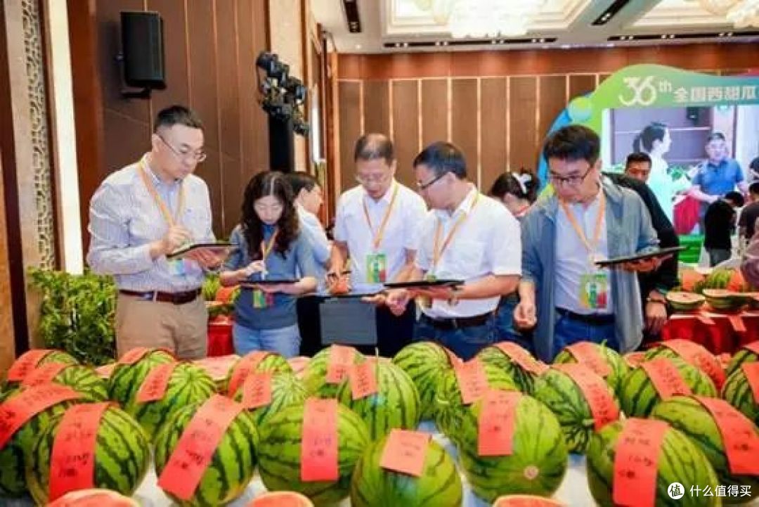 西瓜自由:老外看瓜价瞳孔地震,我们只嫌瓜不甜