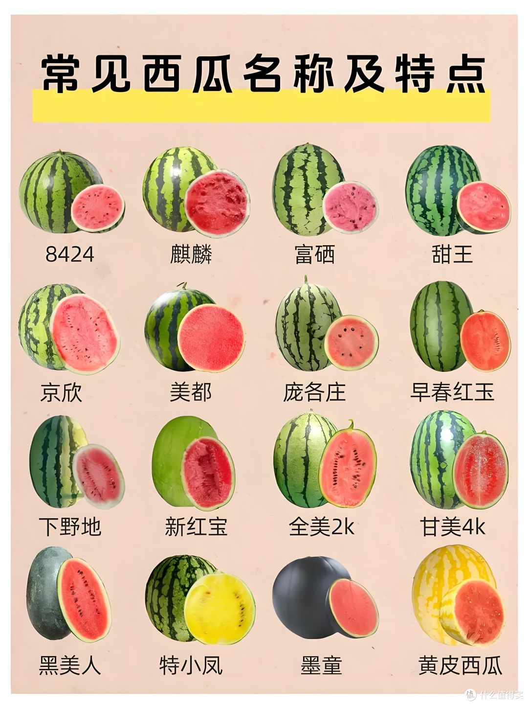 西瓜自由:老外看瓜价瞳孔地震,我们只嫌瓜不甜
