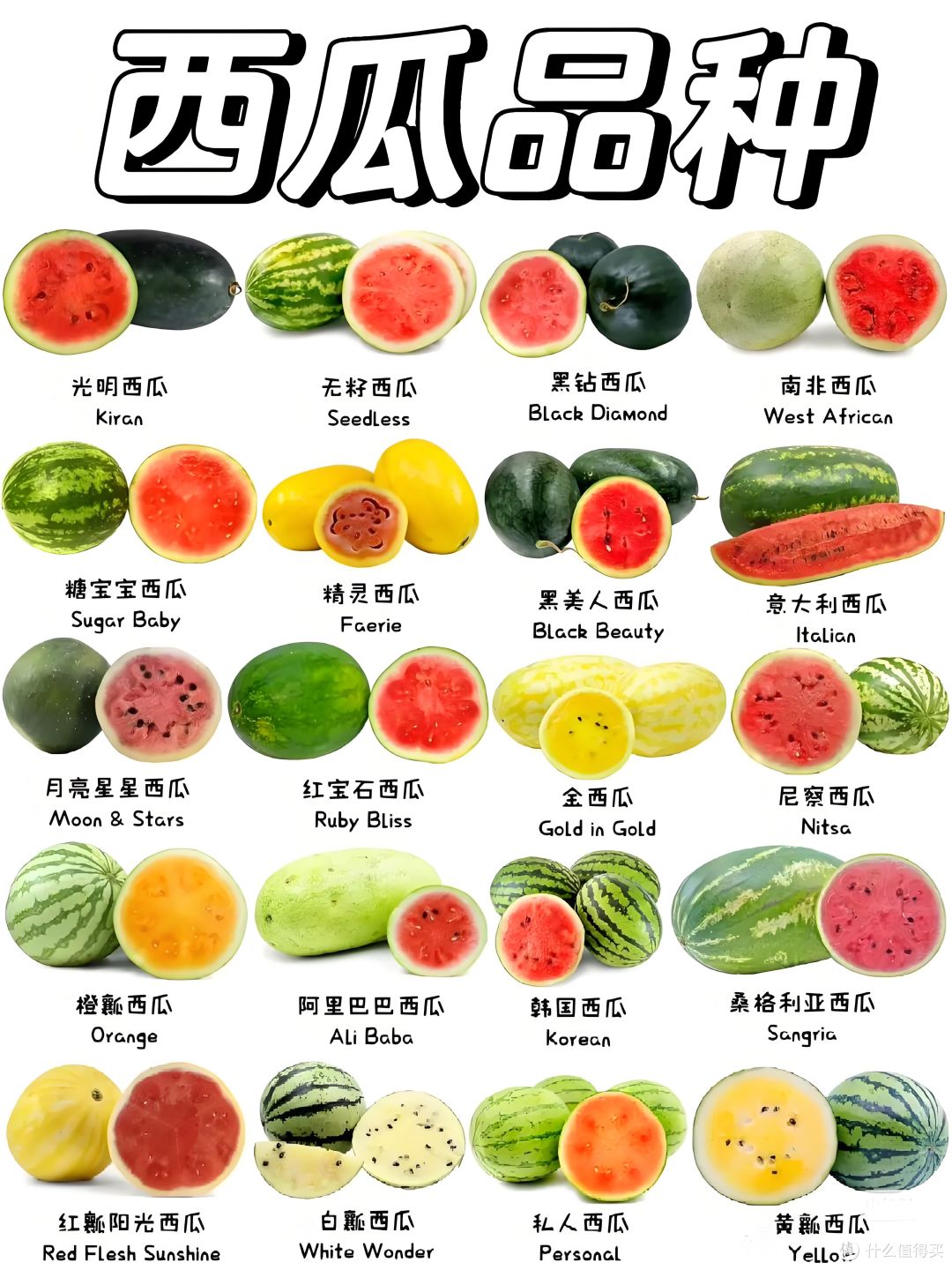 西瓜自由:老外看瓜价瞳孔地震,我们只嫌瓜不甜