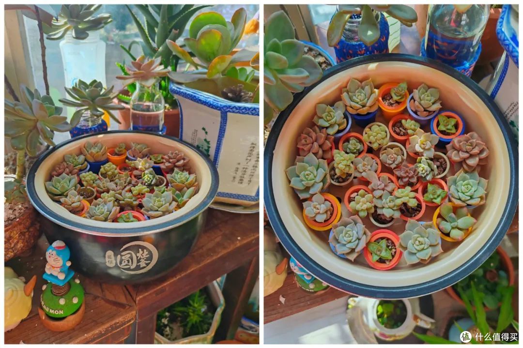 被中年阿姨的“电饭煲用法”折服了!打开思路后,用途居然那么广