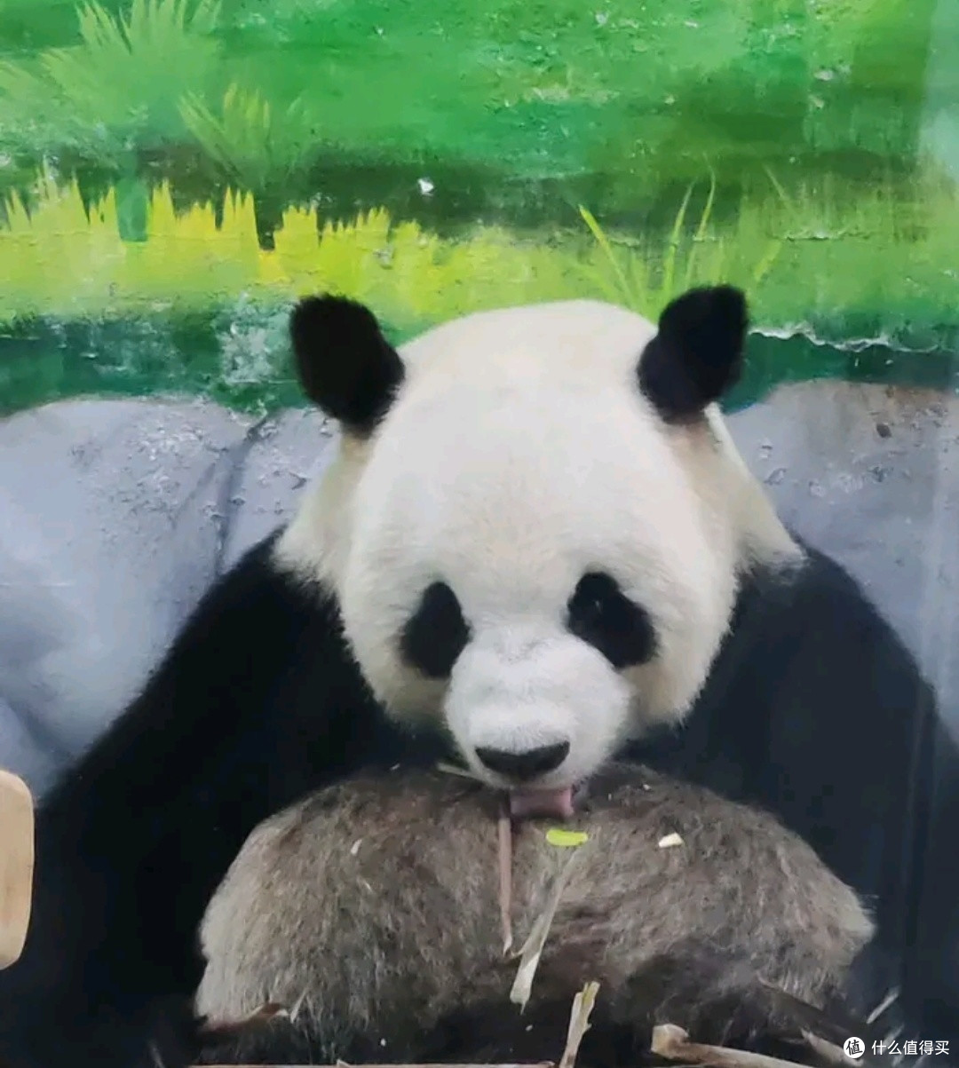 临沂动植物园:亲子游的绝佳宝藏地