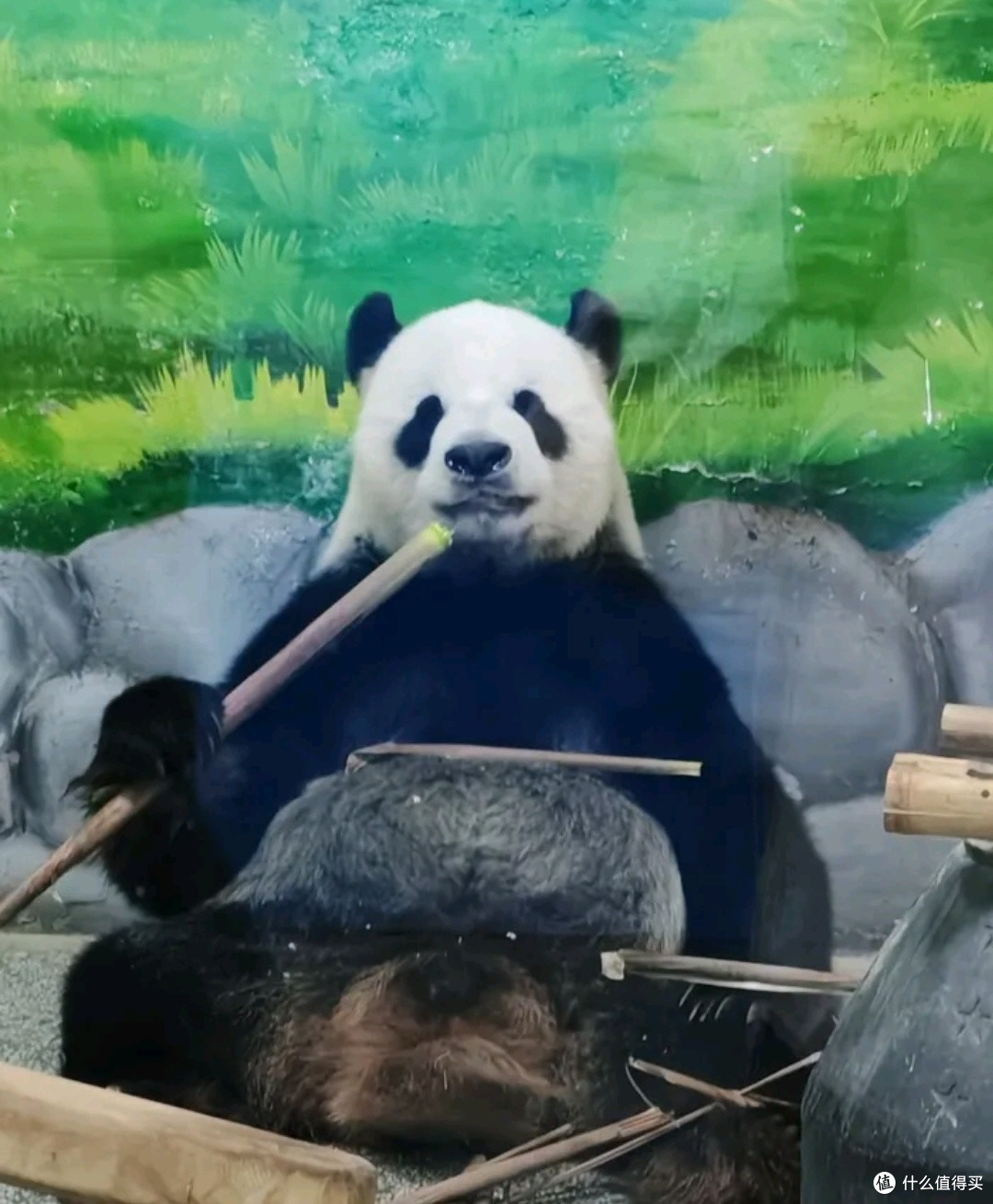 临沂动植物园:亲子游的绝佳宝藏地