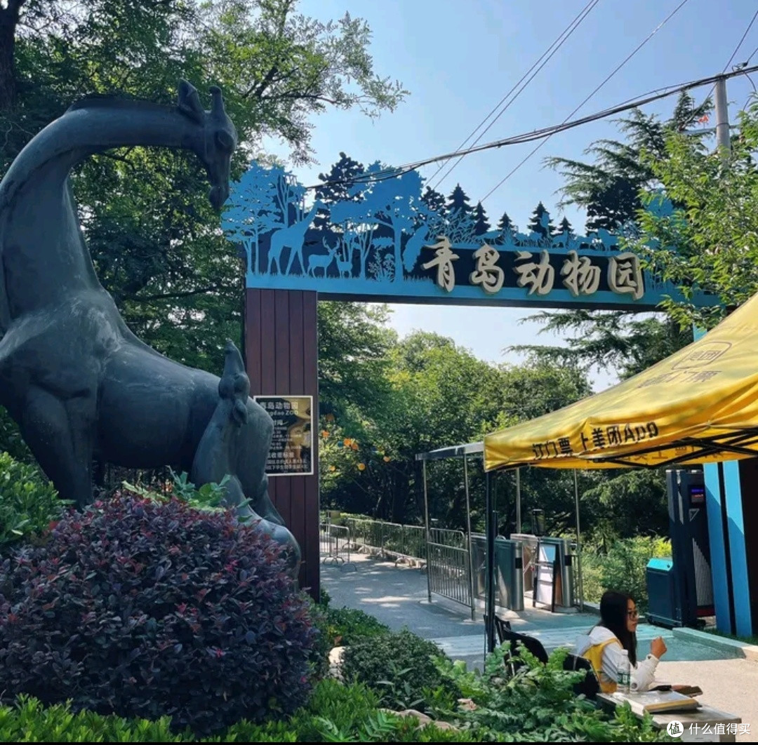 青岛动物园:亲子游的性价比之选