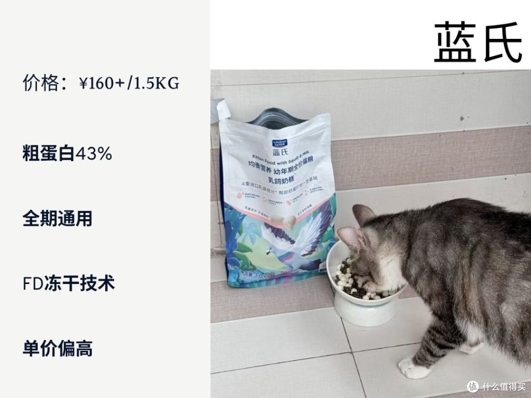 2025幼猫猫粮怎么选?科学喂养指南一学就会