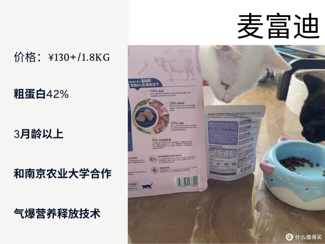 2025幼猫猫粮怎么选?科学喂养指南一学就会