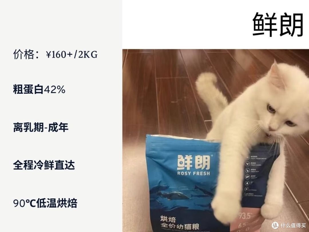 2025幼猫猫粮怎么选?科学喂养指南一学就会