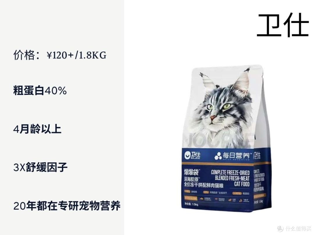 2025幼猫猫粮怎么选?科学喂养指南一学就会
