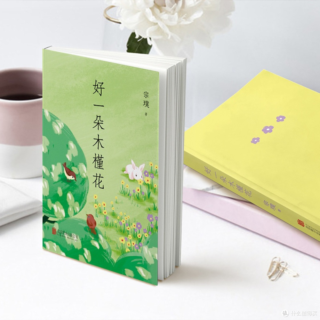 好一朵木槿花 散文 宗璞