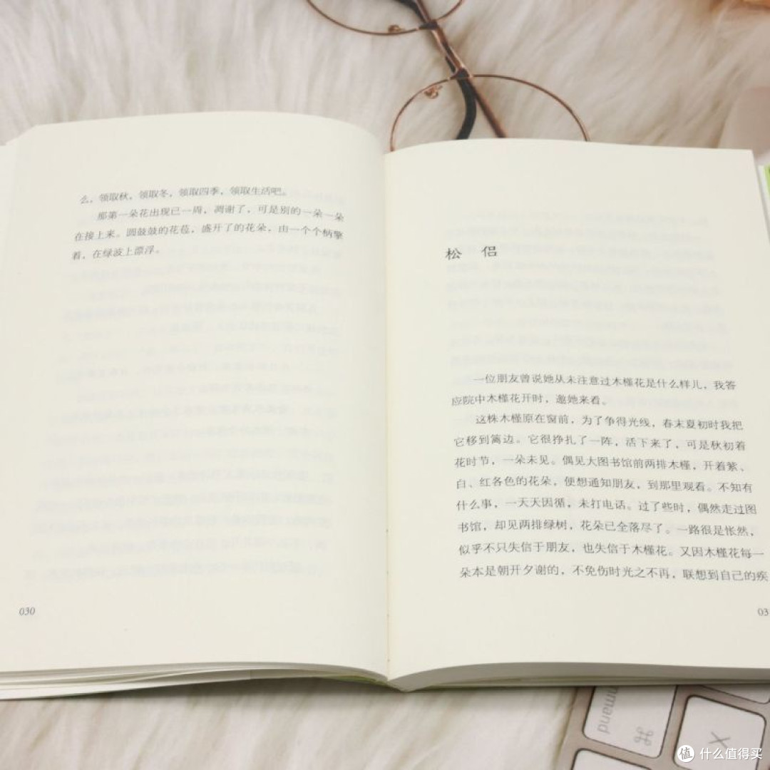 好一朵木槿花 散文 宗璞