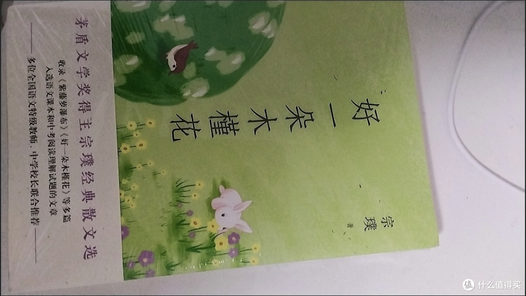 好一朵木槿花 散文 宗璞