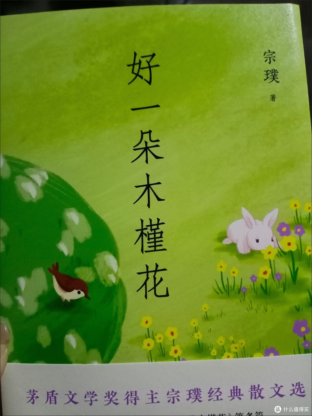 好一朵木槿花 散文 宗璞
