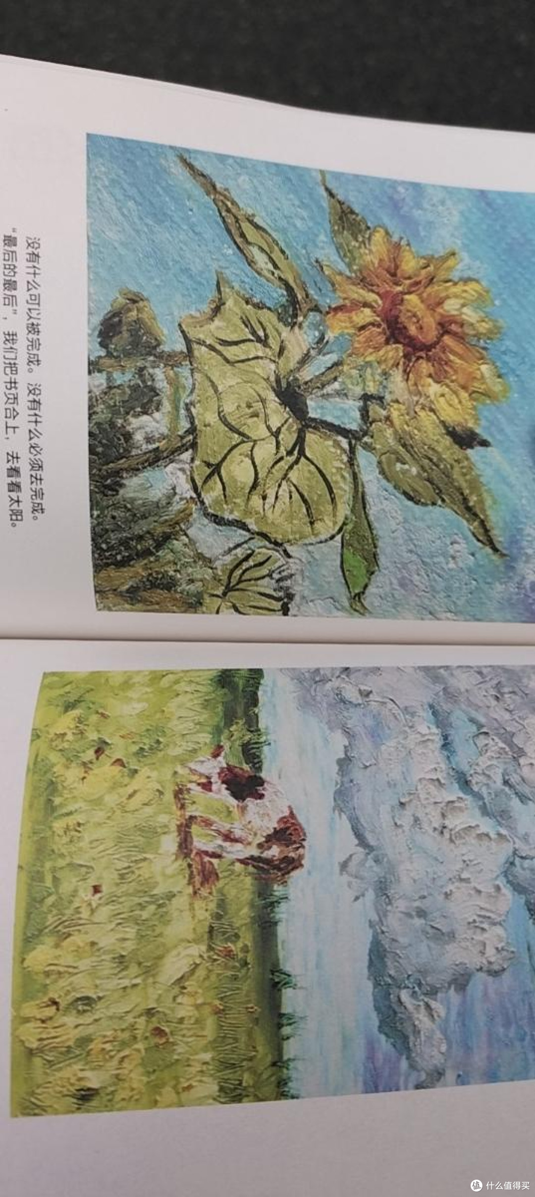 磨铁官方正版 愿你可以自在张扬 刘开心 个人传记励志短篇小说集