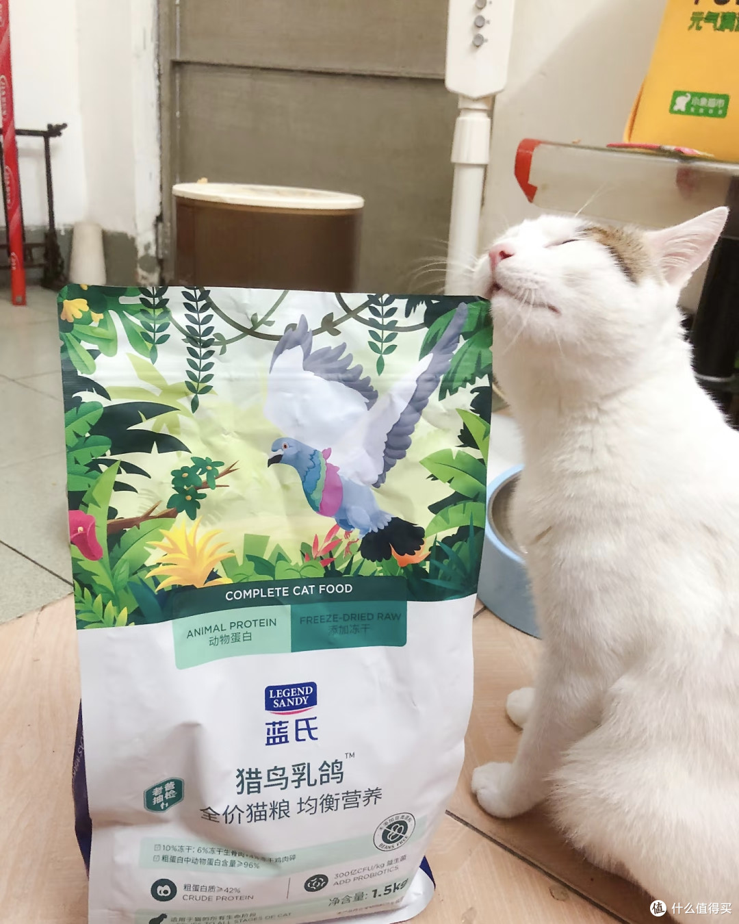 2025幼猫猫粮哪家好？5大热门猫粮测评来袭！