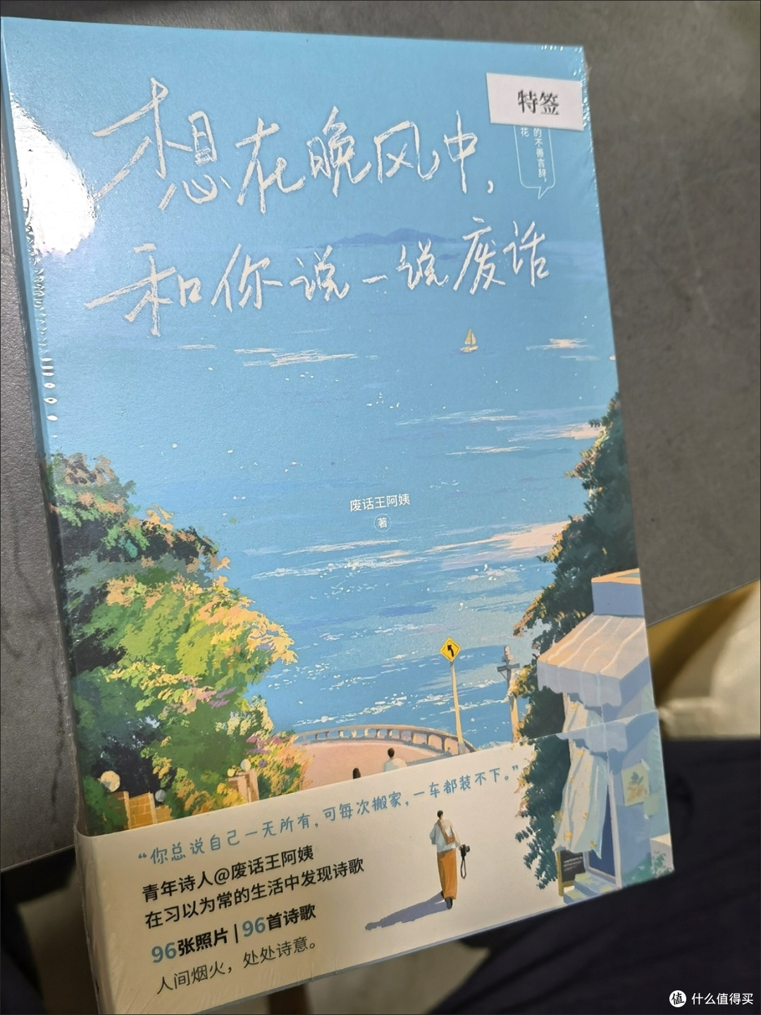 特签想在晚风中和你说一说废话治愈清新文艺短篇诗集爆火