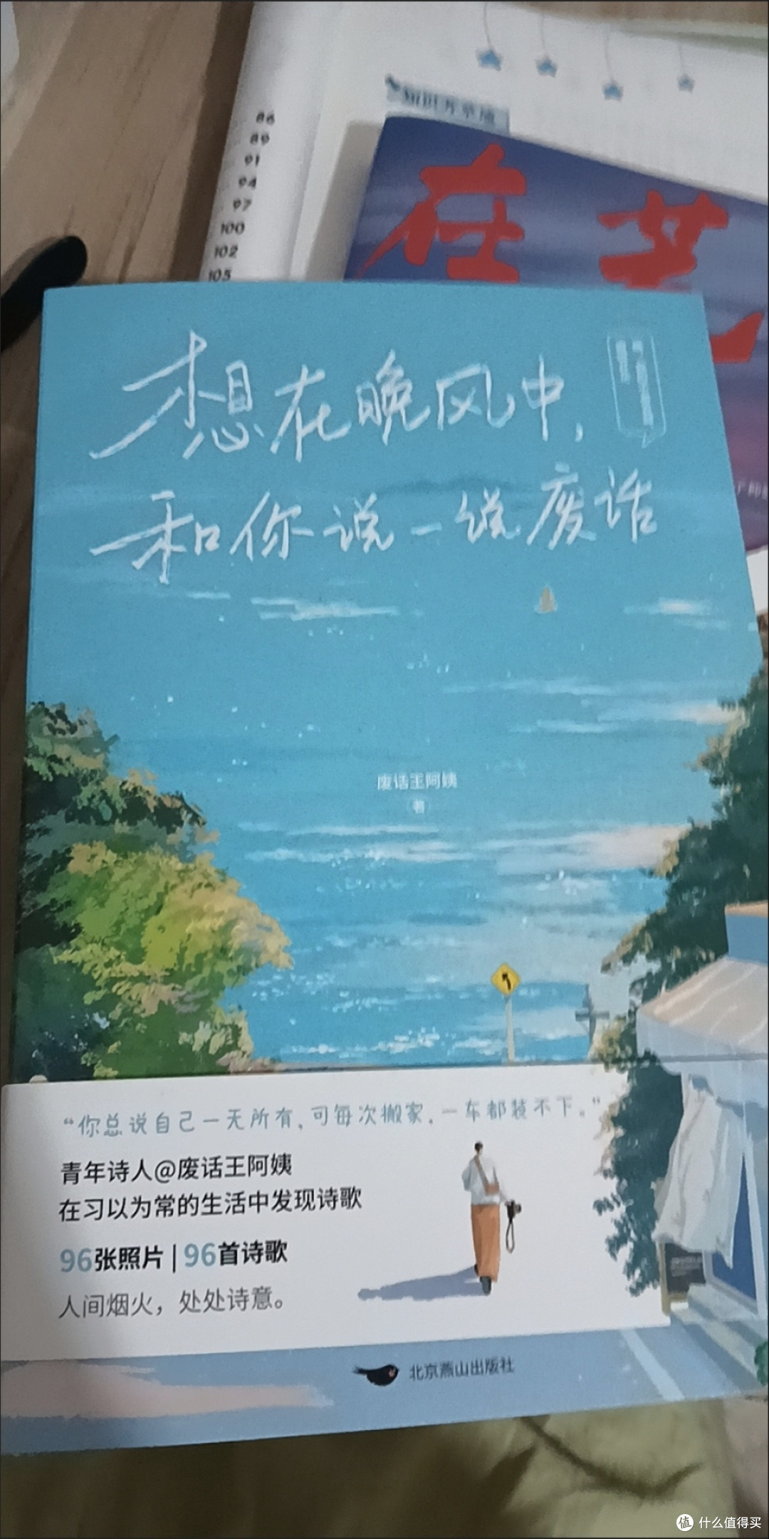 特签想在晚风中和你说一说废话治愈清新文艺短篇诗集爆火