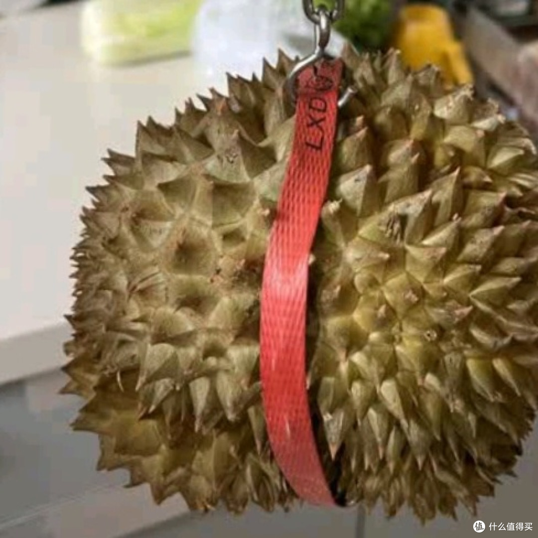 《泰国金枕榴莲:一口沦陷的热带甜蜜》