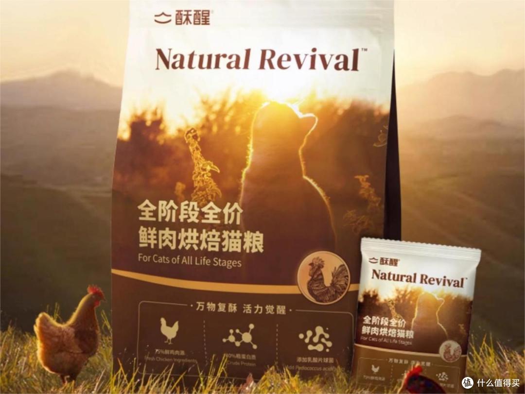 猫粮什么牌子好又不贵?猫粮排行榜前十名推荐高性价比牌子