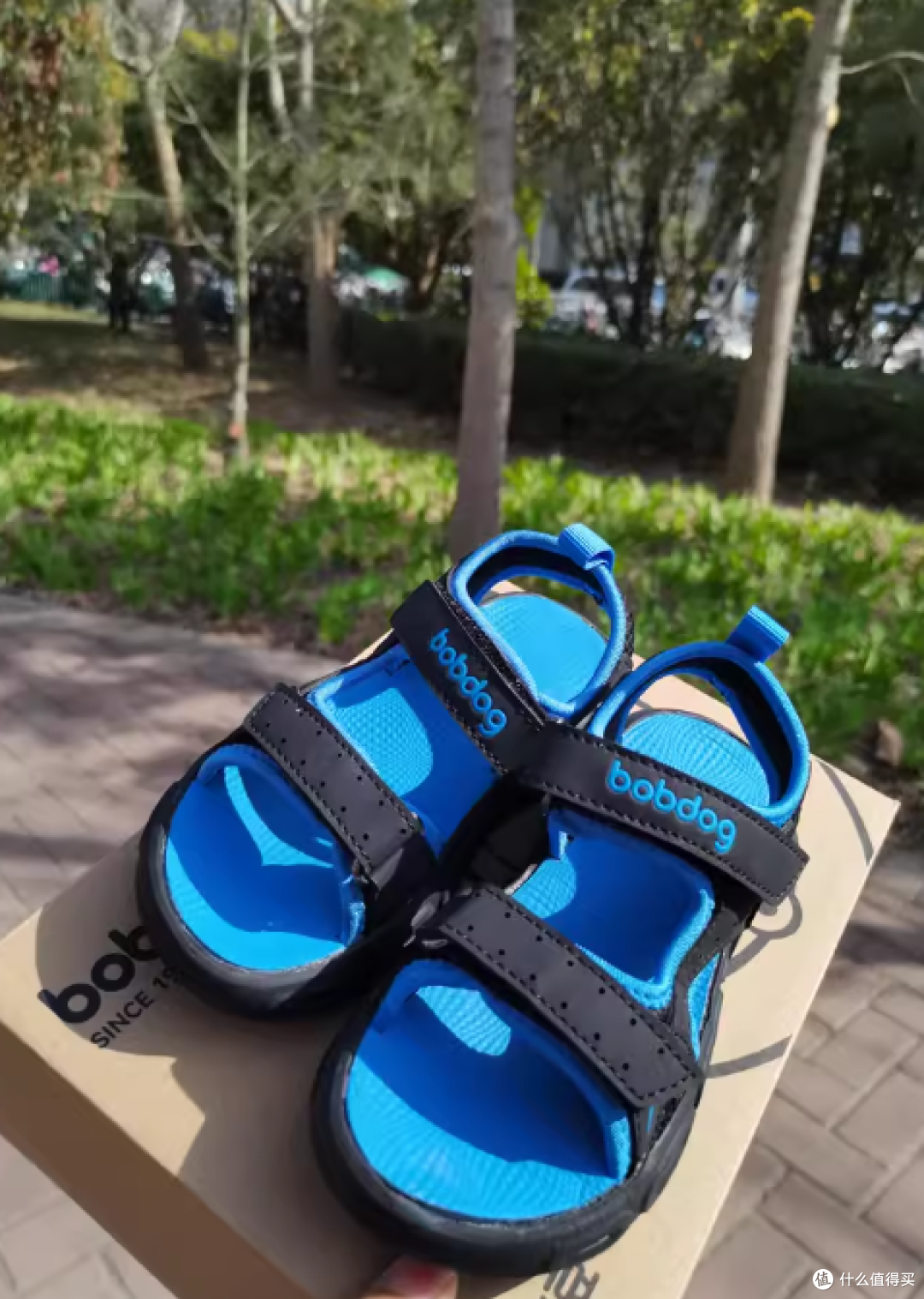 ☀️夏日男宝凉鞋天花板!巴布豆这双冰蓝黑也太绝了吧~