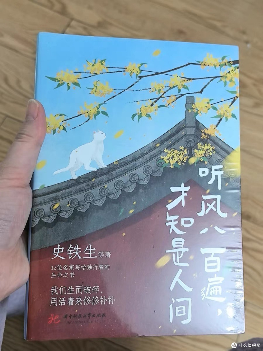 独行者的夏日阅读推荐