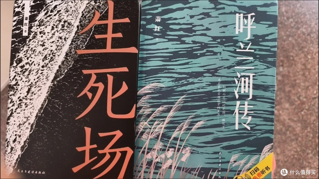 《呼兰河传》阅读体验：于灰暗中寻光
