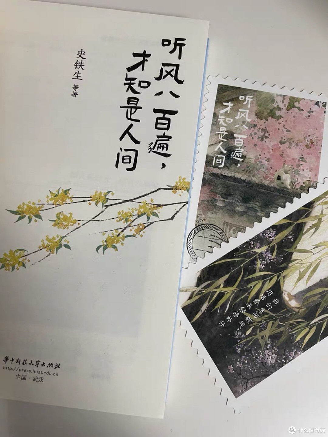 独行者的夏日阅读推荐