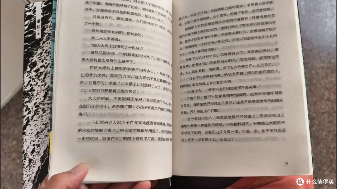《呼兰河传》阅读体验：于灰暗中寻光