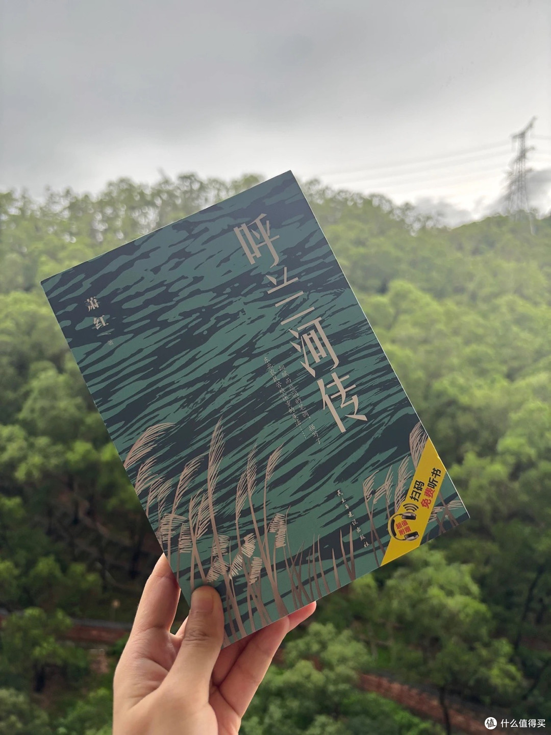 《呼兰河传》阅读体验：于灰暗中寻光