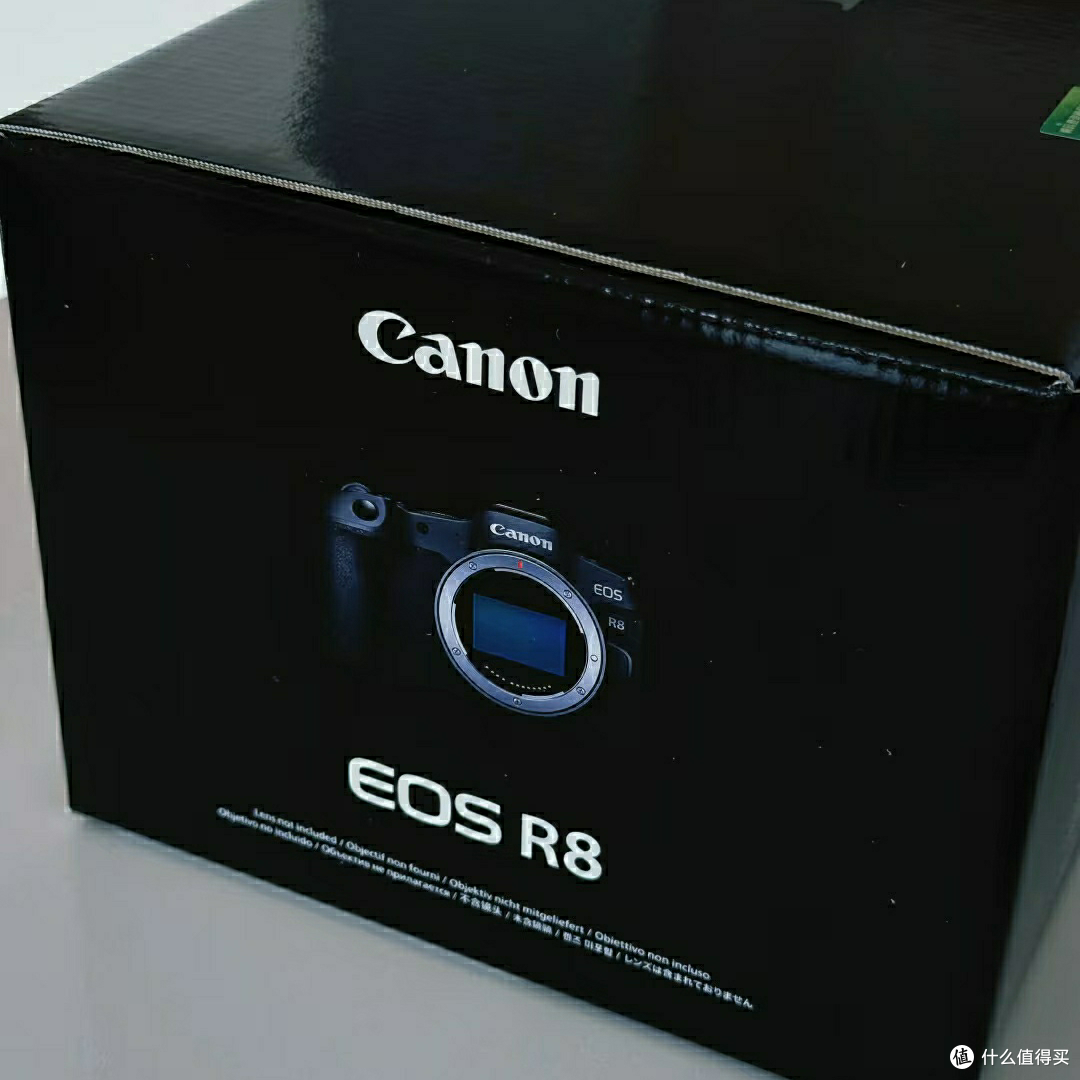 EOS R8夜景人像视频全能