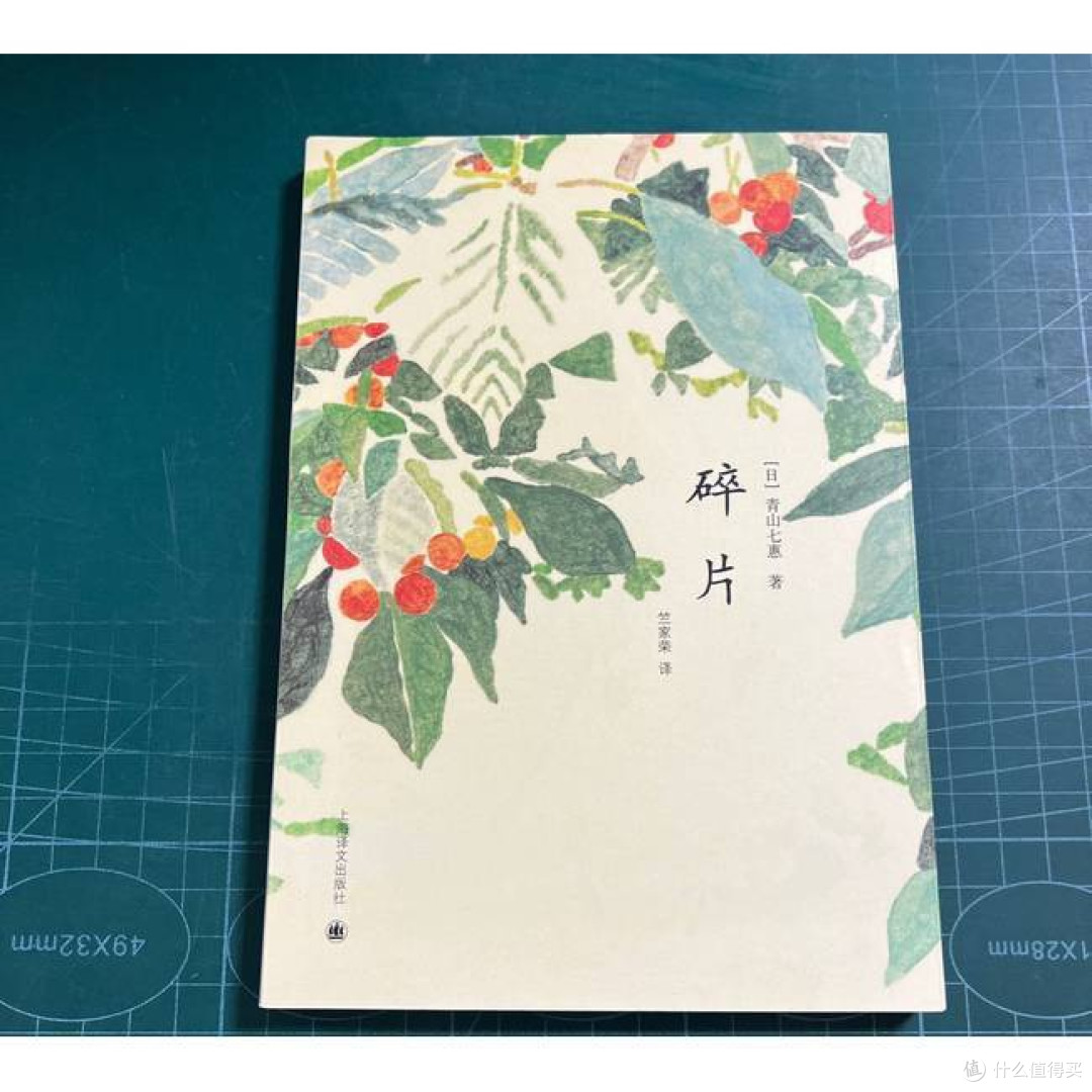 碎片 [日]青山七惠著 竺家荣译 获川端康成文学奖 短篇小说集