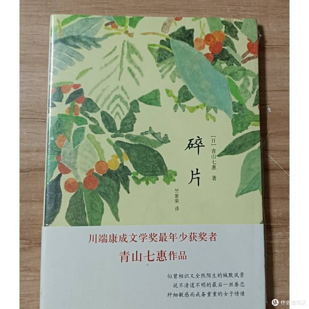 碎片 [日]青山七惠著 竺家荣译 获川端康成文学奖 短篇小说集