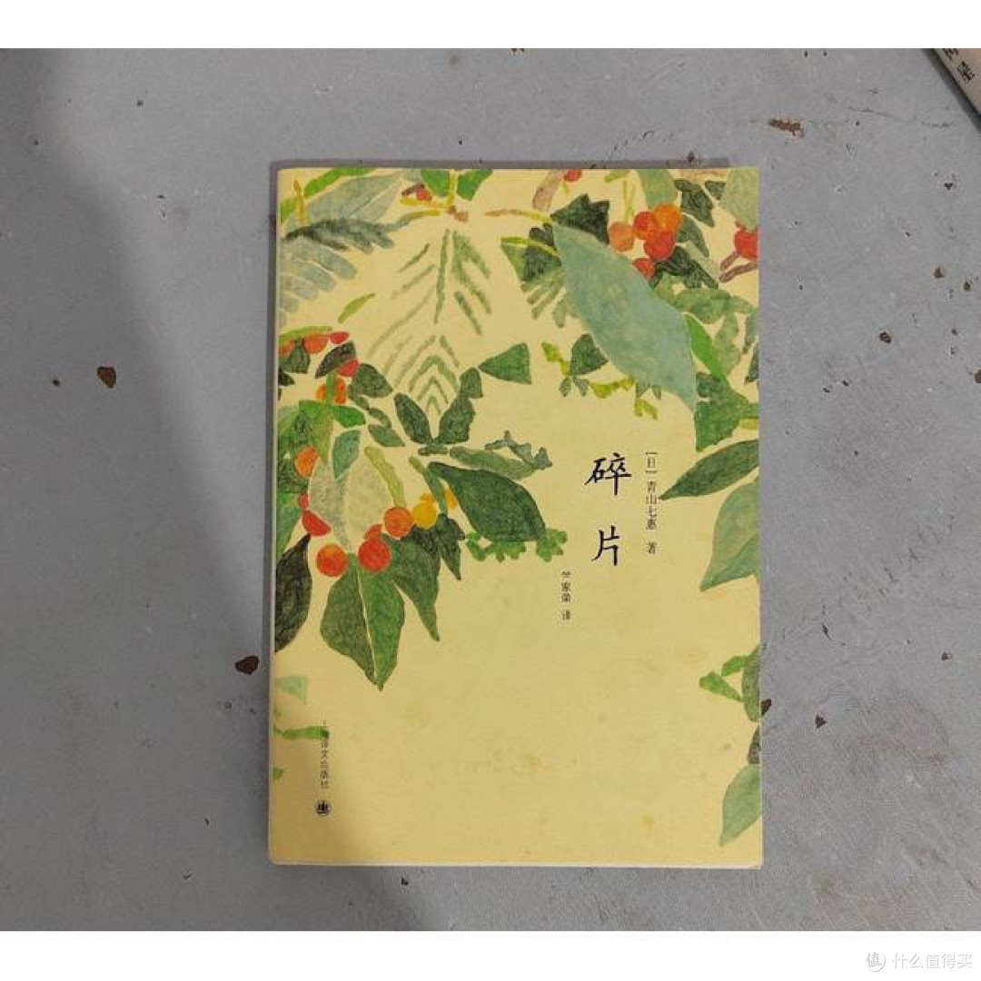 碎片 [日]青山七惠著 竺家荣译 获川端康成文学奖 短篇小说集