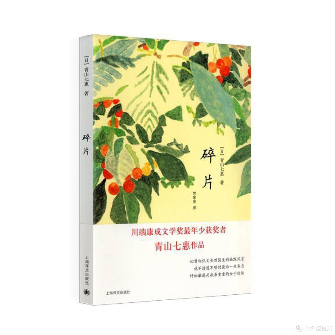 碎片 [日]青山七惠著 竺家荣译 获川端康成文学奖 短篇小说集