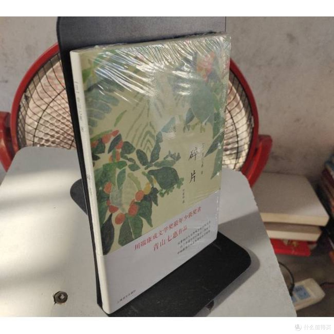 碎片 [日]青山七惠著 竺家荣译 获川端康成文学奖 短篇小说集