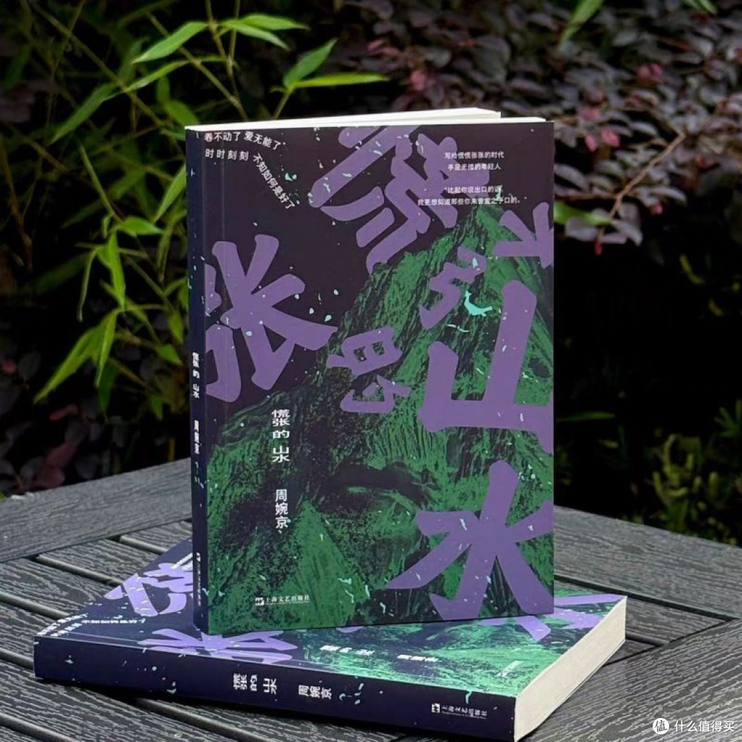 慌张的山水 周婉京著上海文艺 收录七个短篇一个中篇戳破体面人生