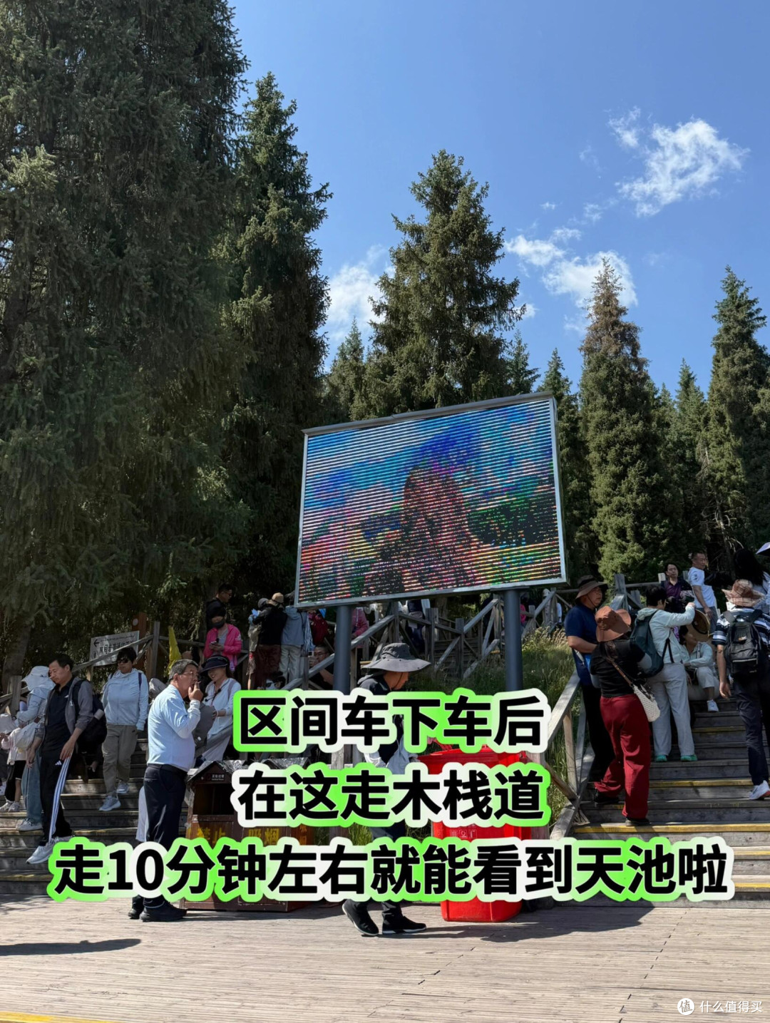 新疆带娃旅行,天山天池两小时速玩攻略